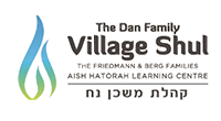 Dan Family Village Shul logo